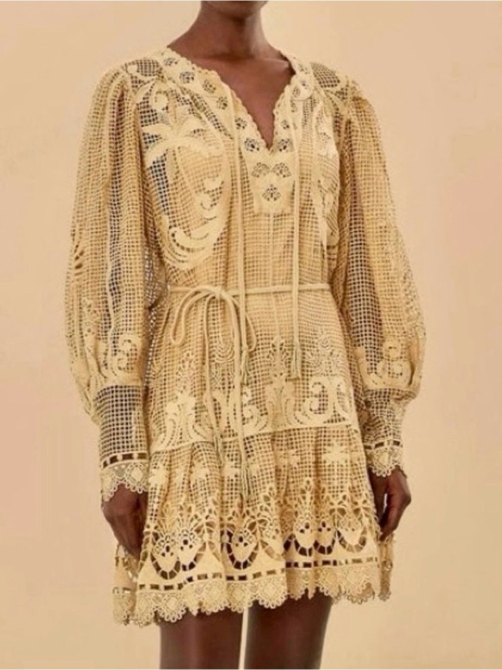 Farm Rio Lace Crochet Mini Dress in Cream